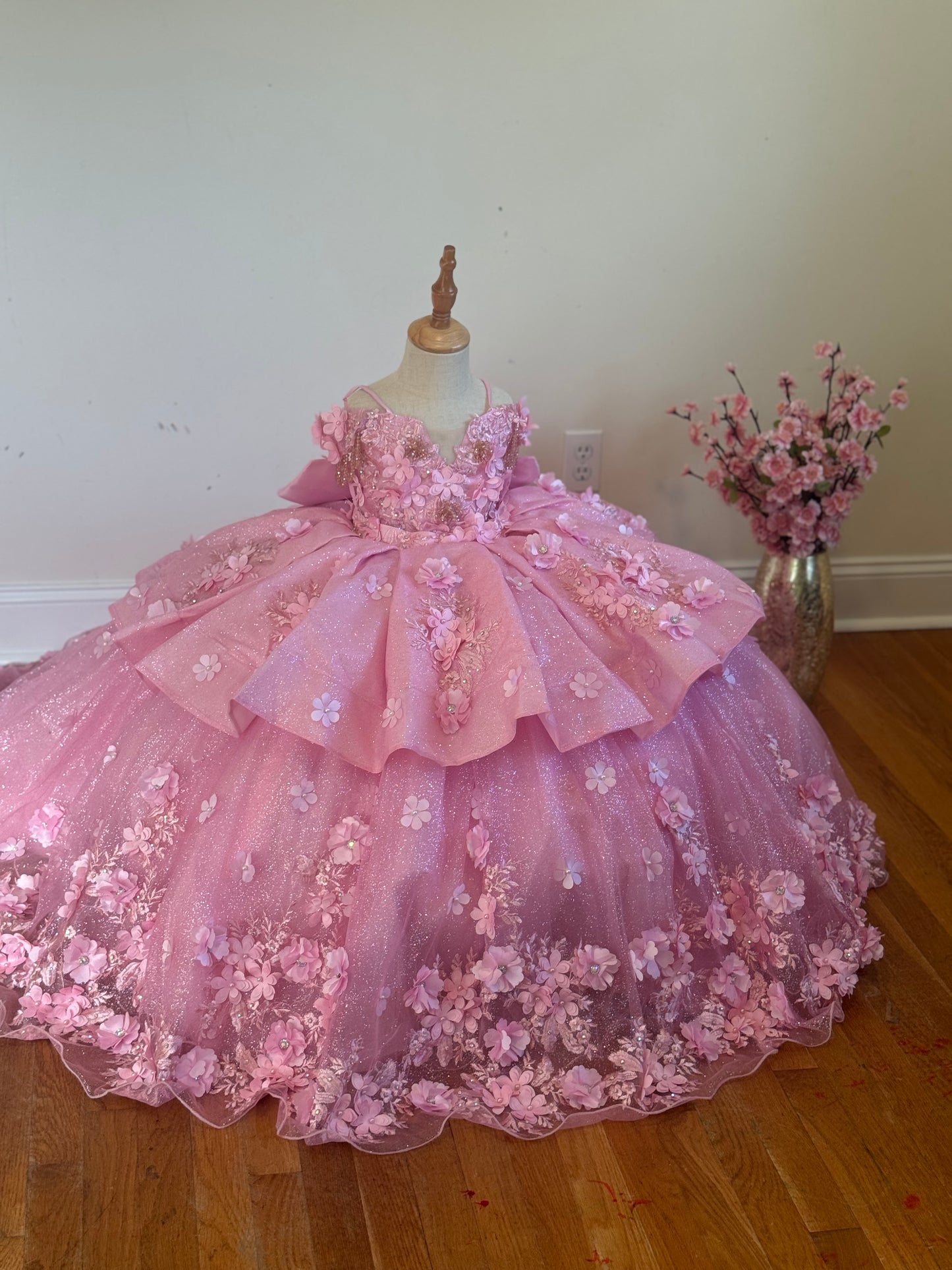 Anahí Pastel