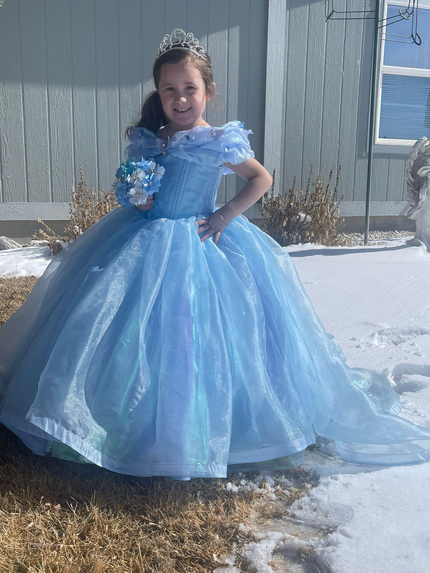 Mod. Cinderella Lucent